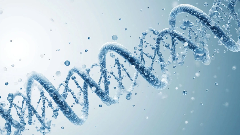 Генетика и образ жизни – что больше всего влияет на рост волос